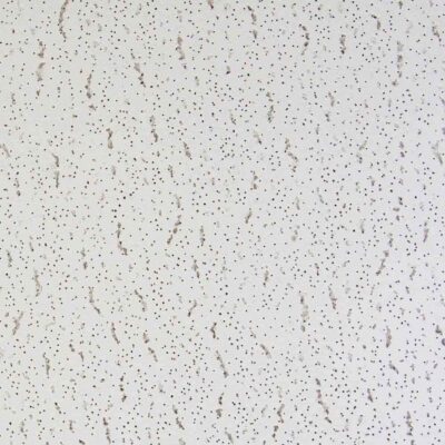 Tatra Ceiling Tile False Ceiling Tiles Perfect For Schools