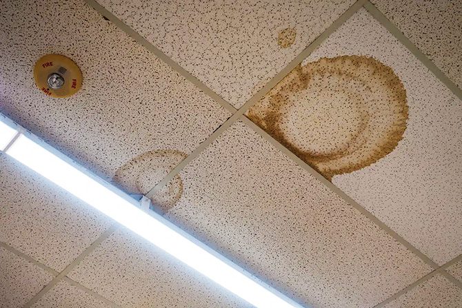 Water Damaged Ceiling Tile