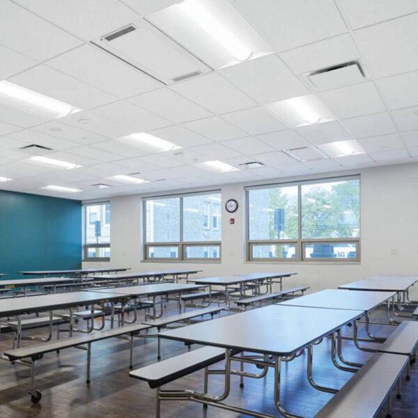 Fine Fissured Square Edge Ceiling Tiles