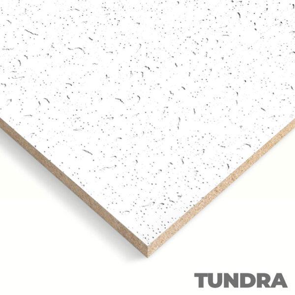 Tundra PRO SC Square Edge Ceiling Tiles