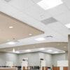 Zentia Armstrong Cortega Square Edge Ceiling Tiles