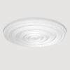 Concentric Ceiling Rose – Spirale Binaurale