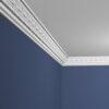 Enchanted Echo Ceiling Coving